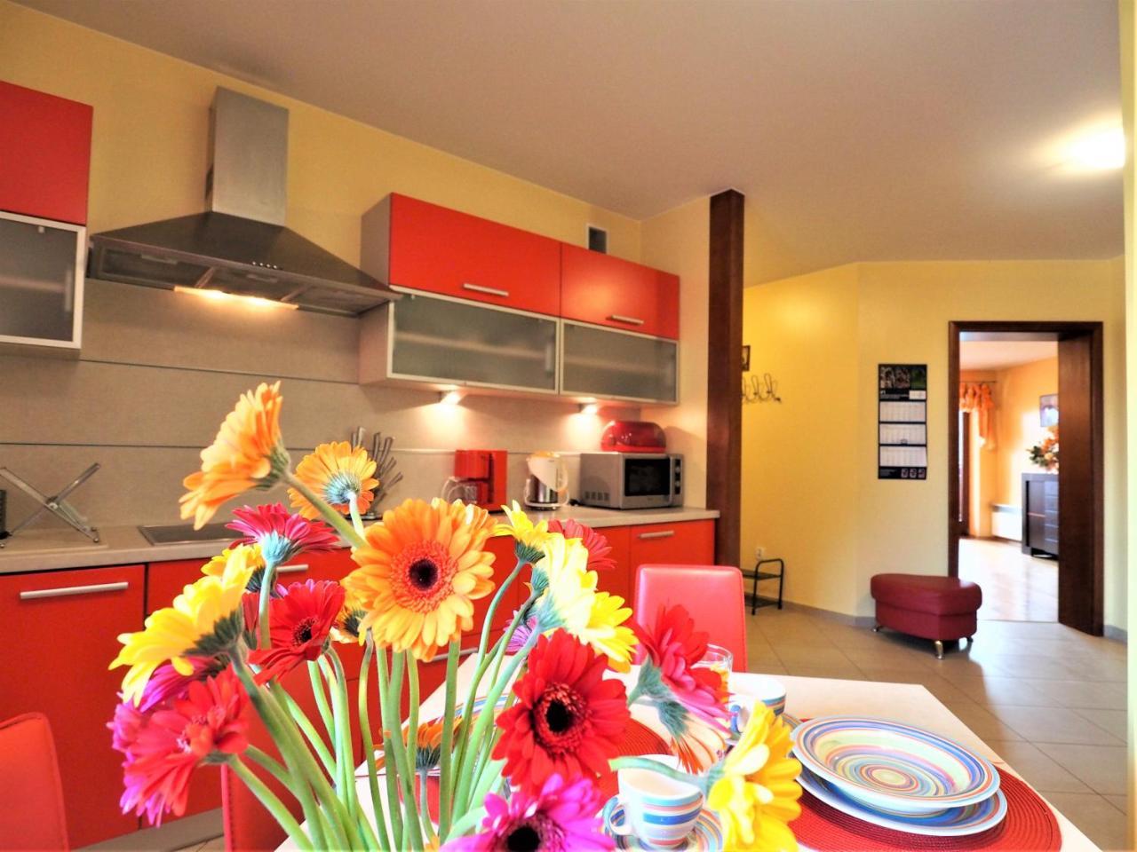 Appartement Apartament Widokowy Maki à Zakopane Extérieur photo